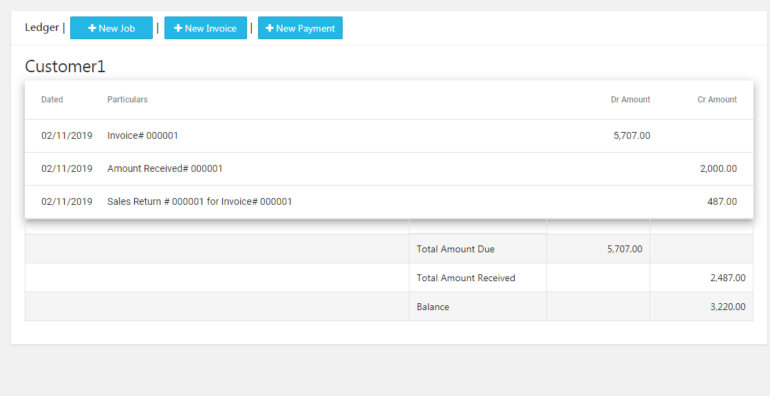 Accountancy App Ledger Customer
